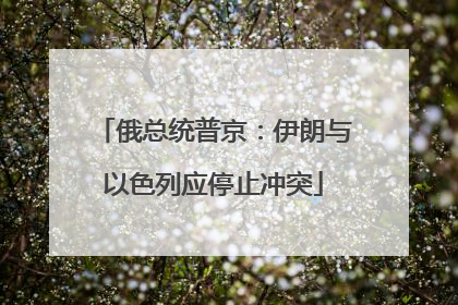 俄总统普京：伊朗与以色列应停止冲突